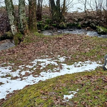 Chalet House Surrounded By Creek *